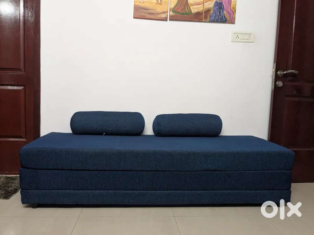 Sofa cum bed with 2 round pillows
