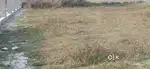 4 khattha land for sale dairect land loard No Brokers