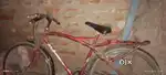 Best cycle under ₹1999 1 year old