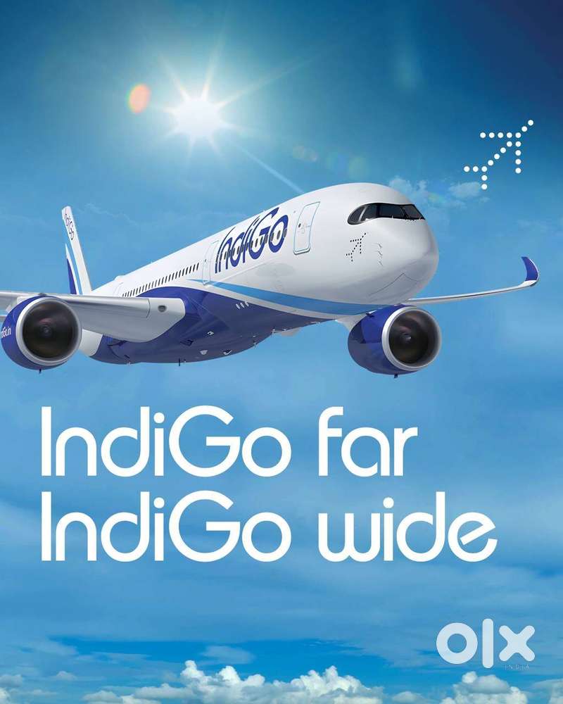 IndiGo Airlines Hiring Airport Ground Staff Officer Jobs Latest