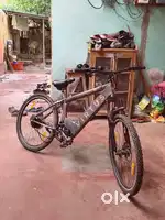 Electric cycle