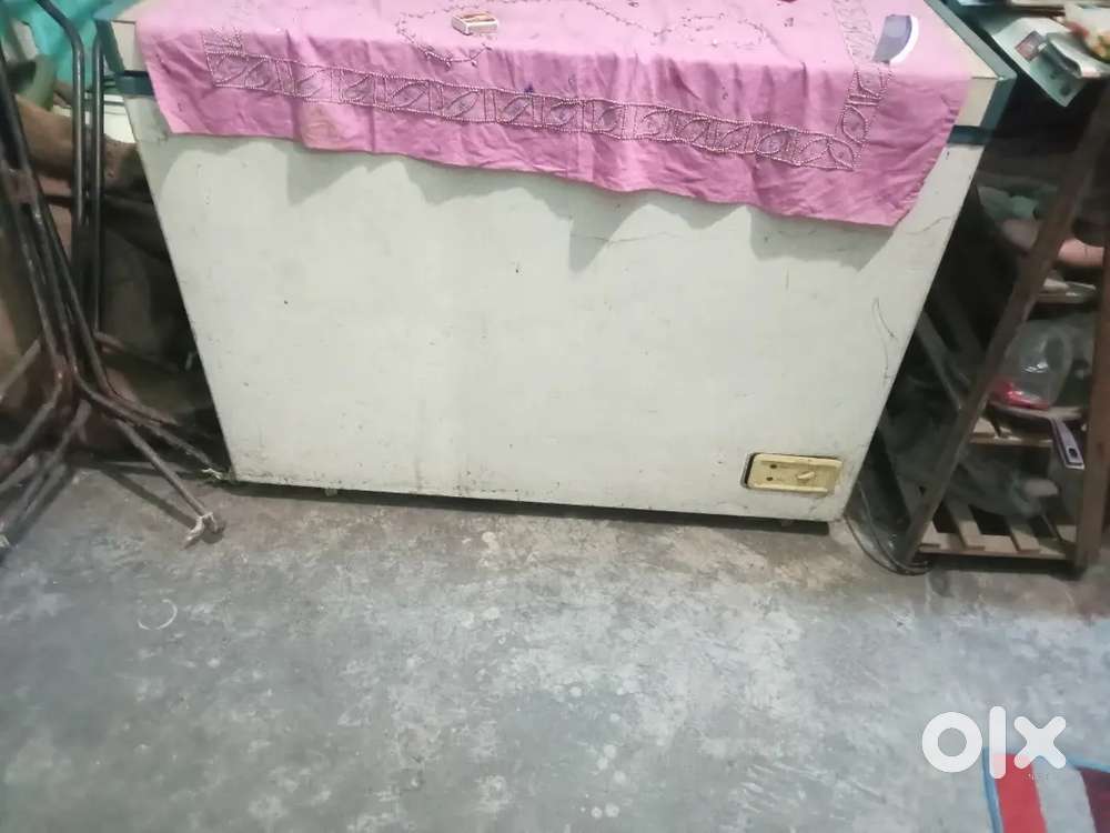 D Freeze single door medium size