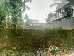 KAKKANAD VIKASAVANI THEVAKKAL ROAD 10 CENTS HOUSE PLOTS FOR SALE.