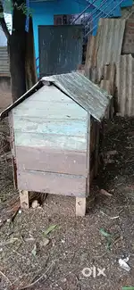 Pet house for sale