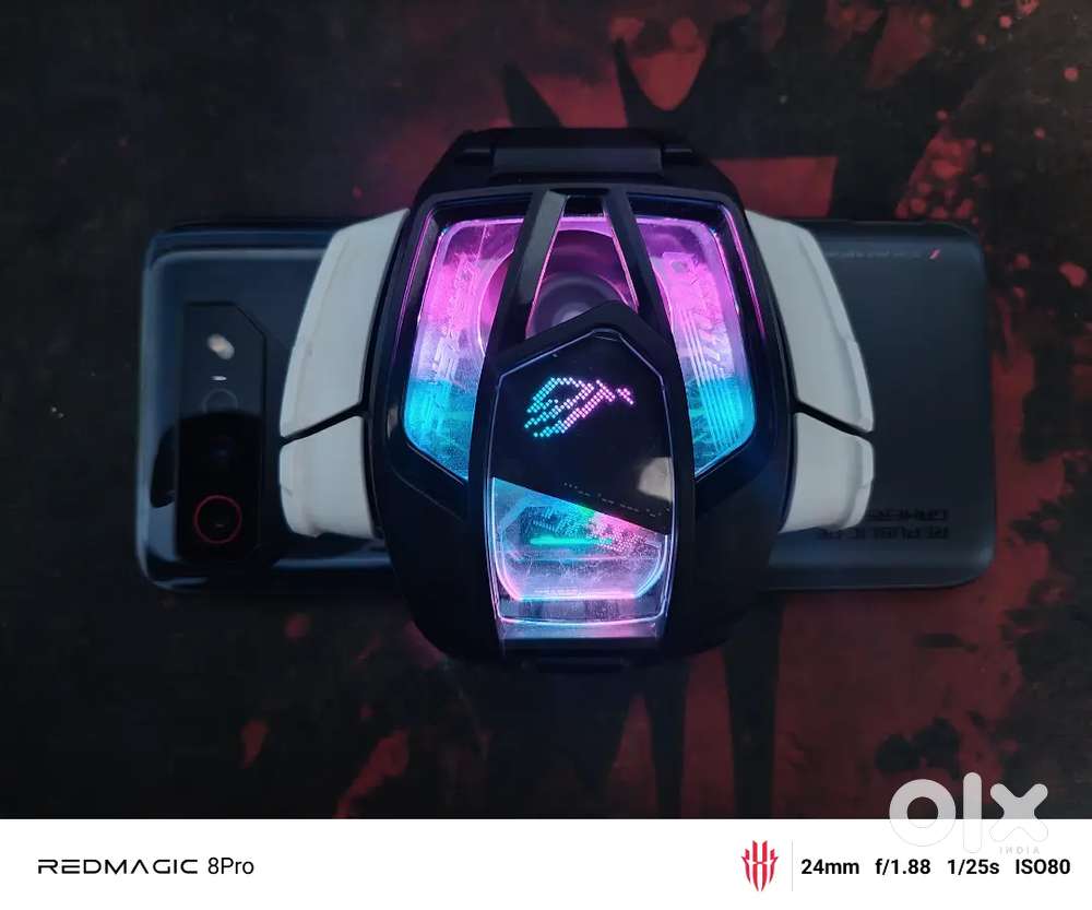 ROG 7 12/256