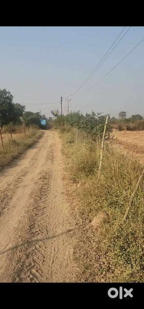 Datrenga Mundra kheti jamin saste rate