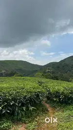 Land available at Vagamon Ulooppunni