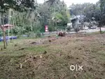 Commercial Land for Rent near Areekode