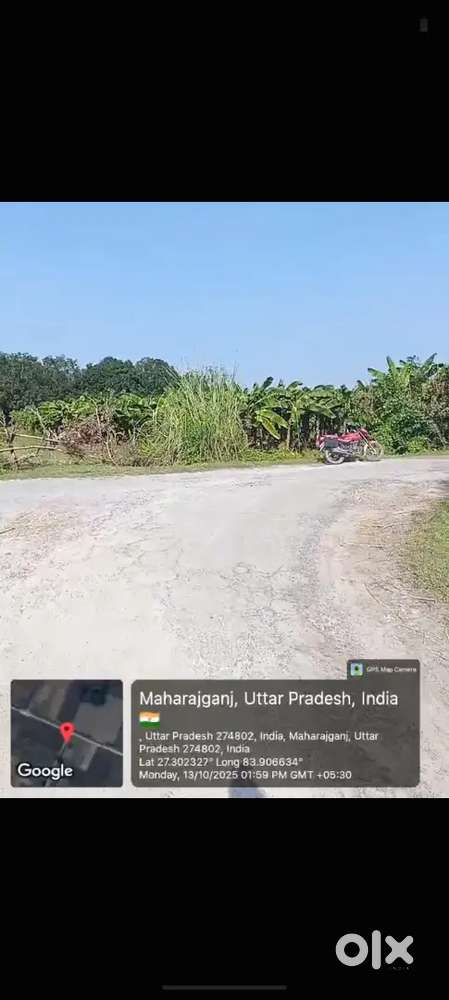 सोहागी बरवा में 50 एकड़ का प्लाट है