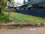 Land for rent