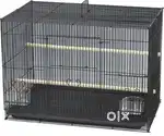 Love birds cage