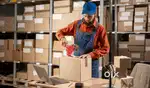 Picking section job hiring