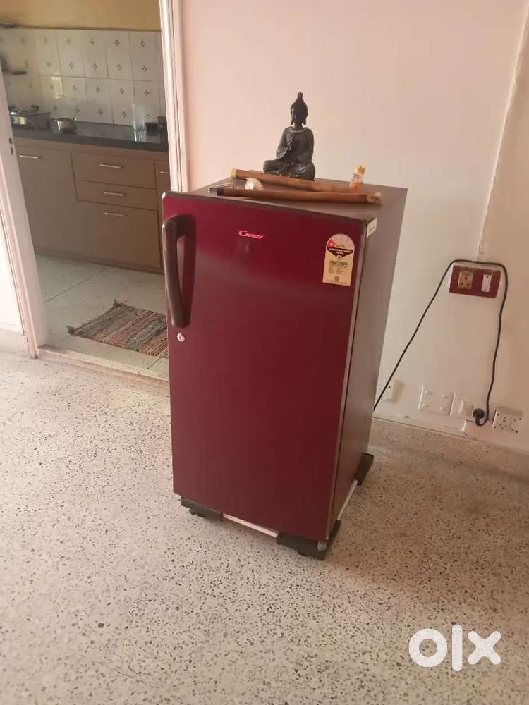 165 liter canday fridge