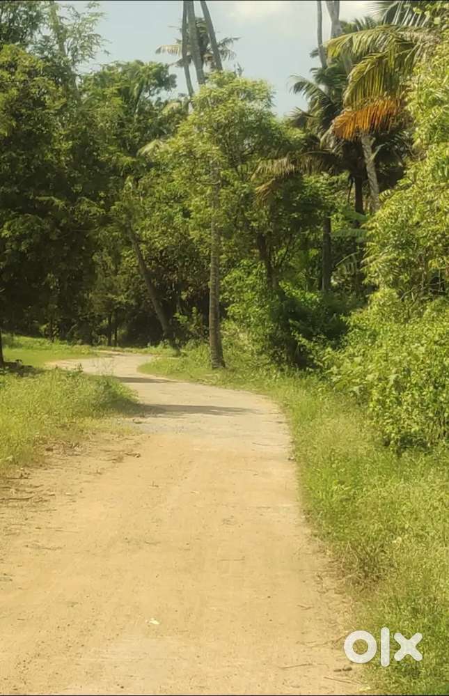 6.75 cent land sale in Pampanvilai,near MJ Hospital