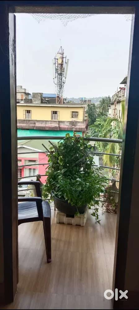 Iva Ladies PG at Affordable price Self Cooking