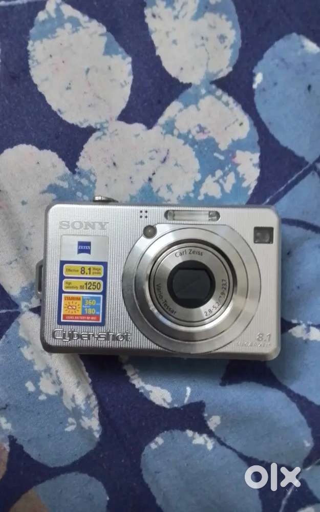 Sony cybershot DSC-W100