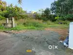 5 CENT HOUSE PLOT SALE IN CHOTTANIKKARA