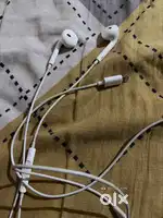 Apple earpods