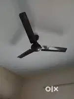 Ceiling fan
