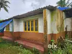 6 ACER LAND WITH COFFEE,PEPPER ETC PERFCT TOURISM,@KANNUR AIRPORT RD