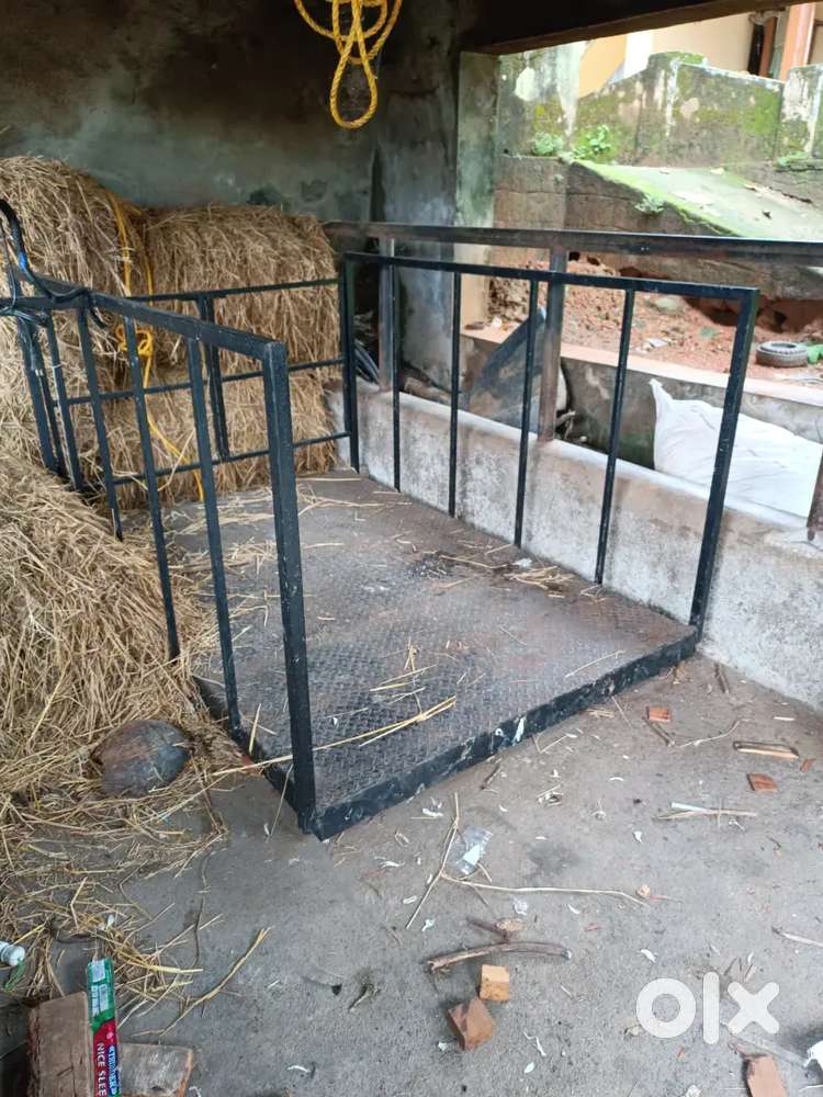Weighing machine