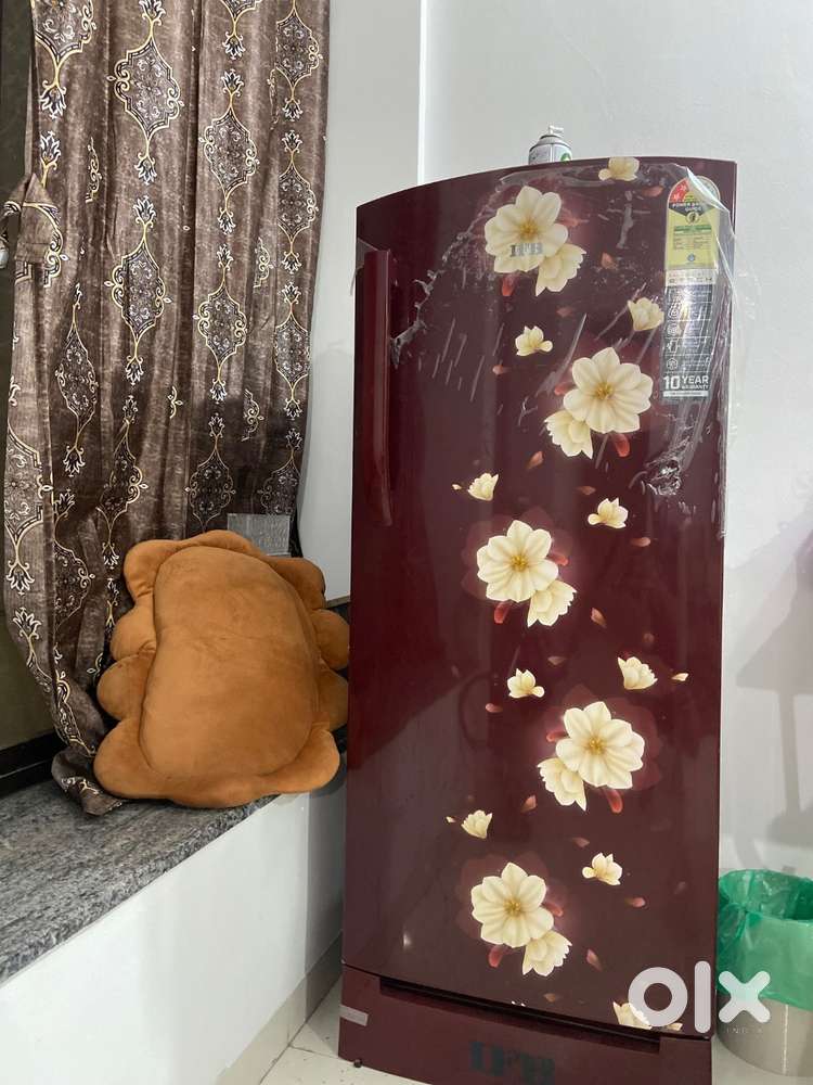 IFB single door Fridge