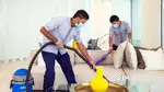 I need housekeeping job and pateint care job