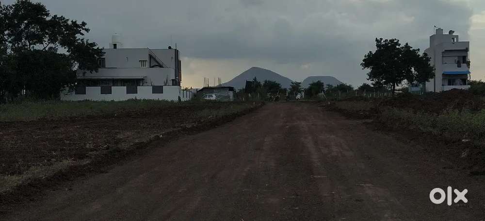 N.A. Plot Pathardi-Vandner Road