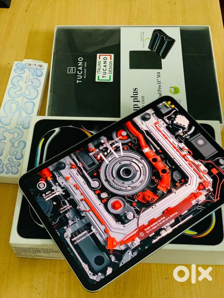 Ipad pro M4 2 months used