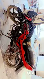 Pepar expired hai