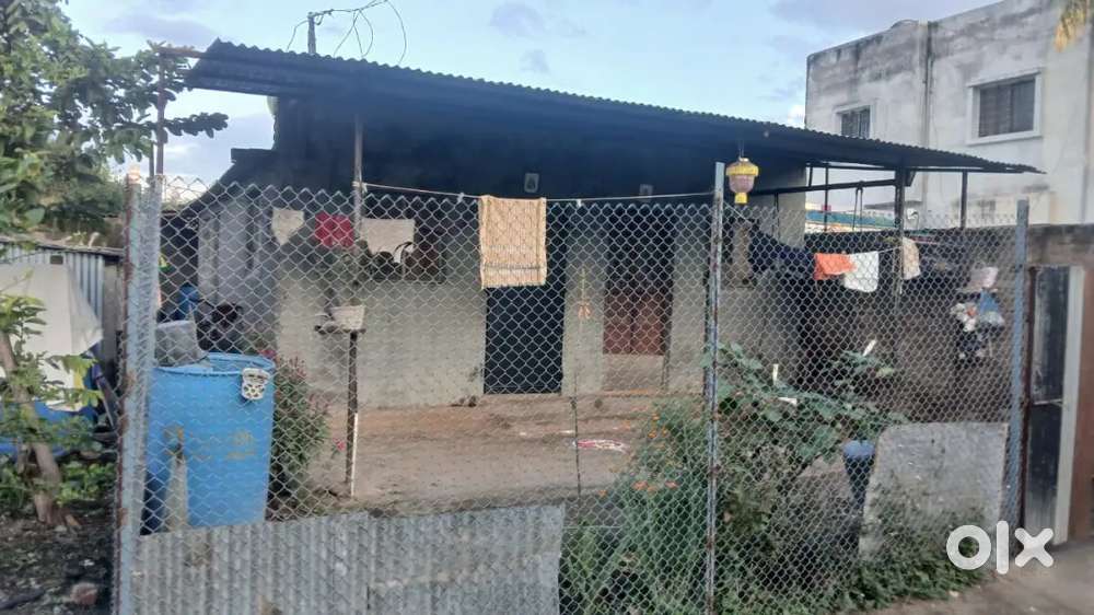 Sonali kirana, Sanjivani office back side Surgeon kolapewadi.