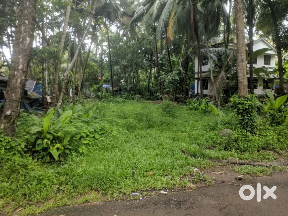 40 cent parambu for sale near karikkamkulam