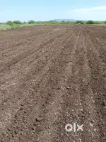 Agriculture Land for sale