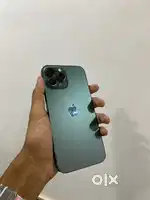iphone 13 pro max green edition