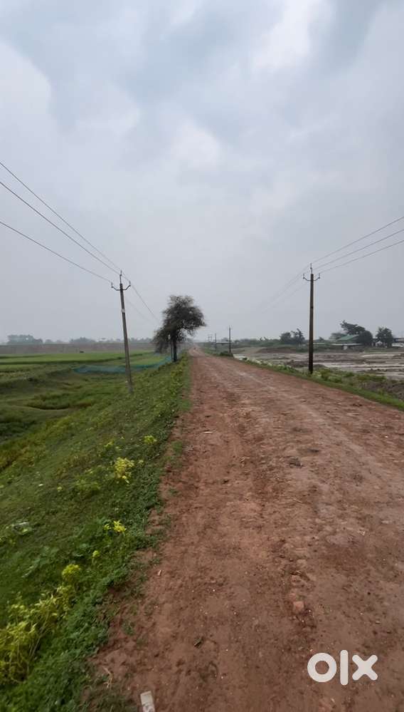 6 Bigha Land for sale, Per Bigha @ 13L  Ahotguri, Dharamtol