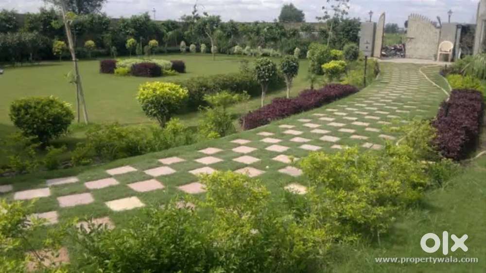 Plot for sale in Badu sarai Delhi near dwarka expressway