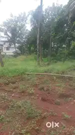 Ayyanthole  5cent Residential land –Thrissur
