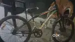 The leader beast bycycle for 12 years boys premium cycle