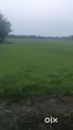 Buy Farmlands from us and Build Farmhouse and Farm