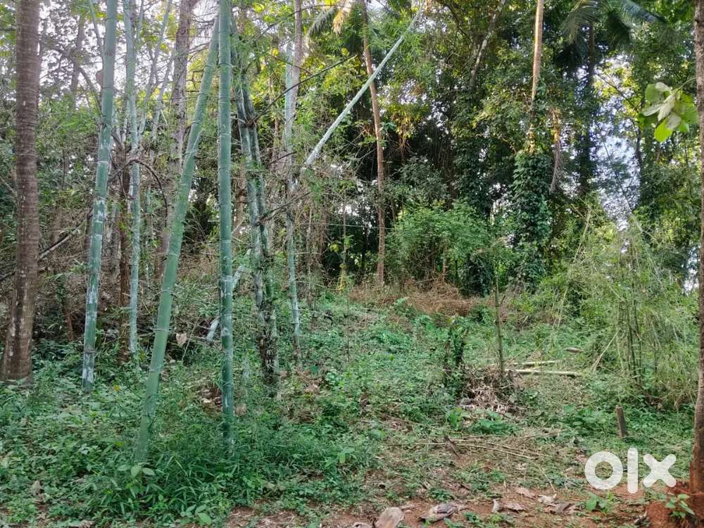 House and House  Plot for sale