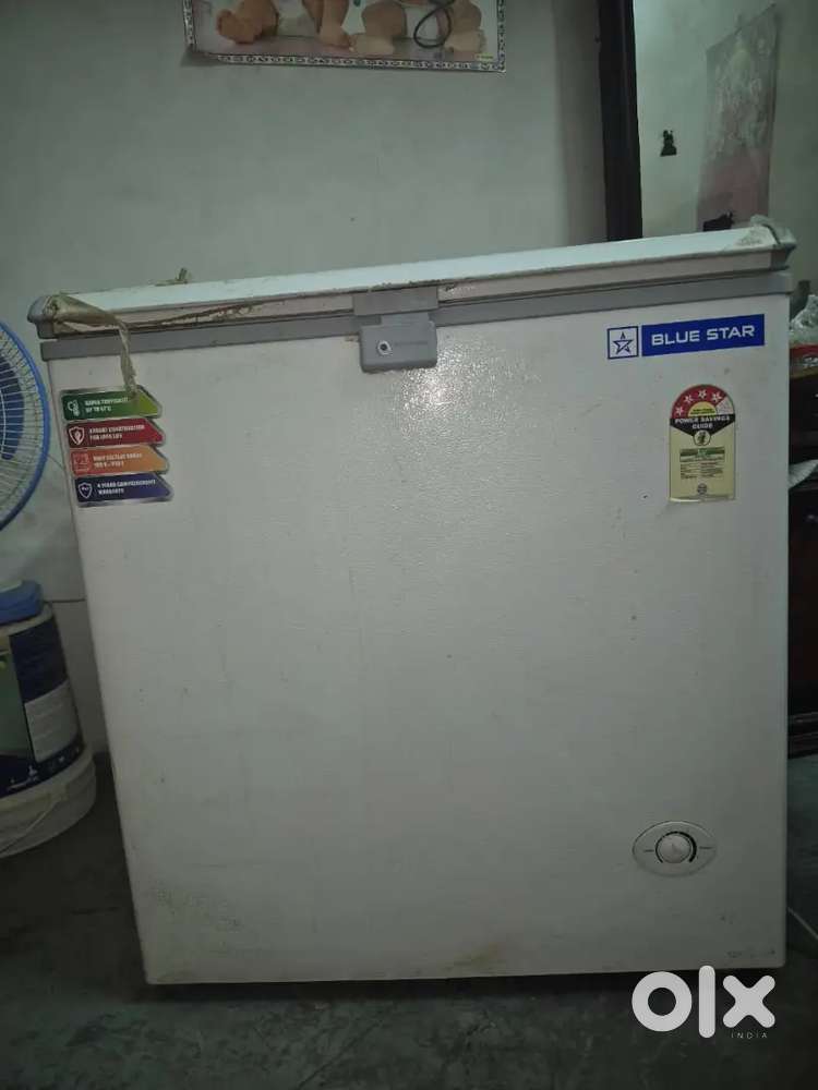 Blue Star deep freezer