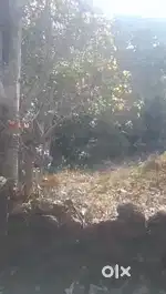 Settlement plot available for sale in Sirsaim, Thivim