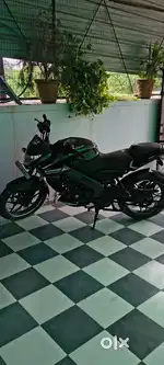 Pulsar ns125