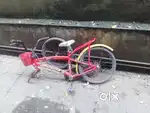 Cycle for sell