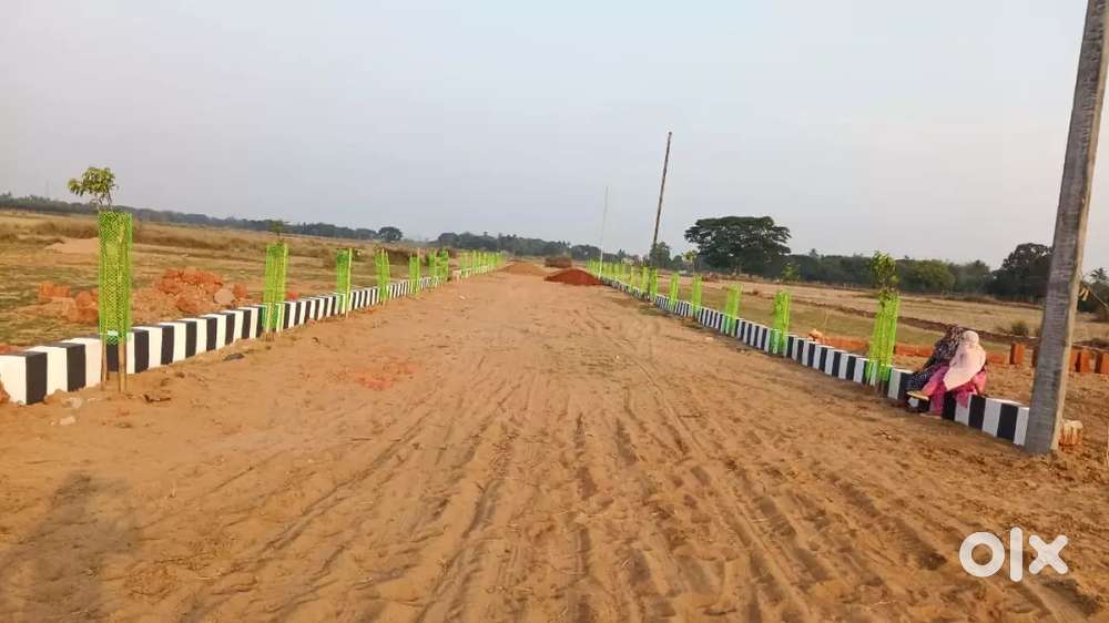 Gharabari plot sale at phulnakhara