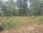 6 cent Residencial Land Kolazhy Thrissur