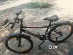 Sungold cycle