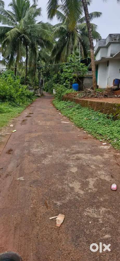 26 CENT SQUARE PLOT FOR RENT