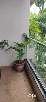 Prime location near coaching centre only for students