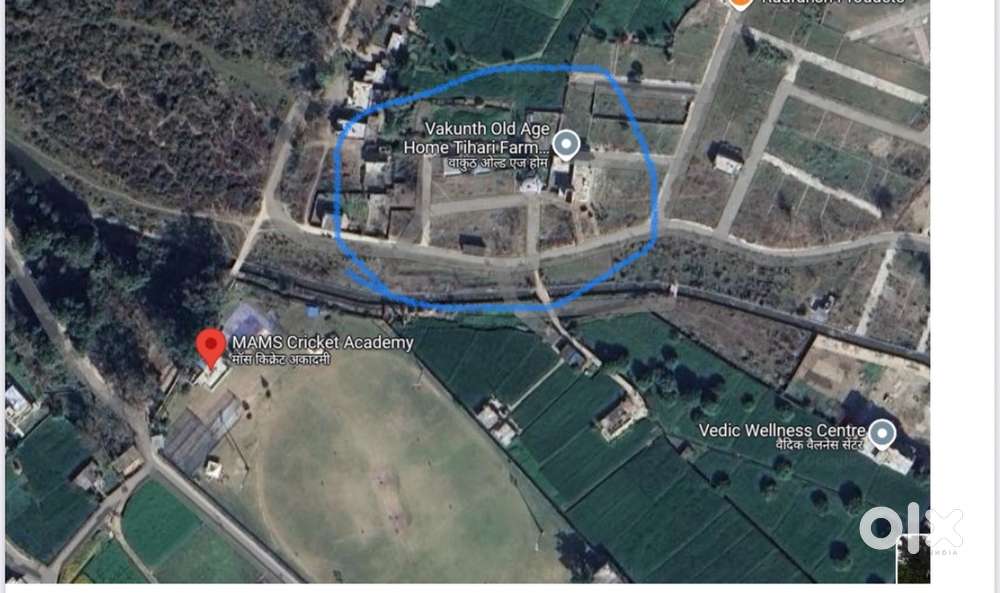 प्लॉट फॉर सेल रजिस्ट्री + दाखिला